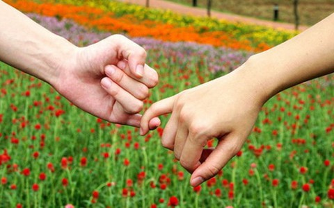 Yêu lâu - yêu sao càng đượm, càng sâu?