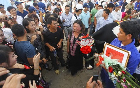 Bò sữa Mộc Châu đua sắc đẹp