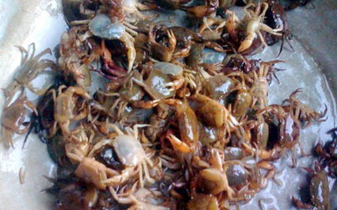 Dân dã cua đồng