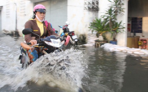 Bì bõm khổ cực giữa triều cường