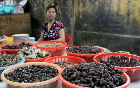 Ốc phố đêm vùng biên