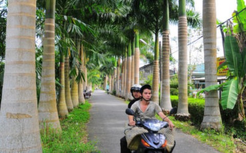 Hậu Giang: dân đóng góp làm đường đẹp