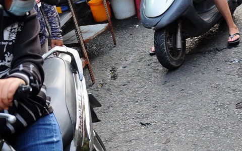 Phát hiện chuột cống mang virút gây bệnh