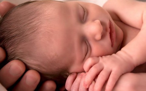 Con được sinh ra từ...