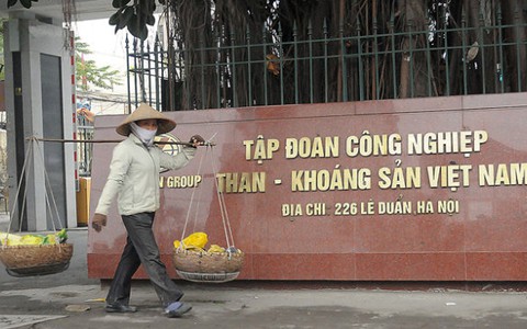 Thua lỗ tiền tỉ ai không xót