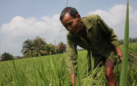 Đề nghị tăng thời hạn giao đất
