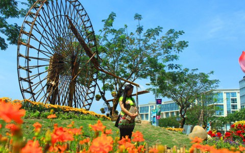 Hồn quê giữa khu đô thị hiện đại mùa tết