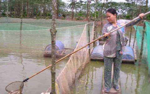 Người phụ nữ không đầu hàng số phận