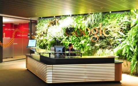 Khám phá văn phòng Sydney của Google