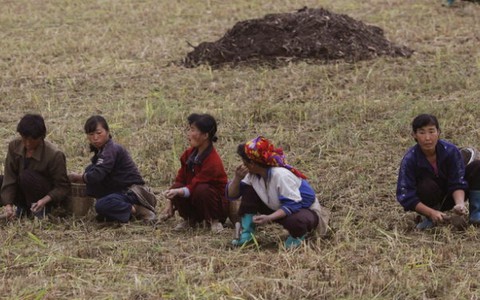 Triều Tiên đề nghị Mông Cổ viện trợ lương thực