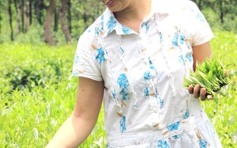 Kỳ cuối: Chuyện một ôsin xứ Đài