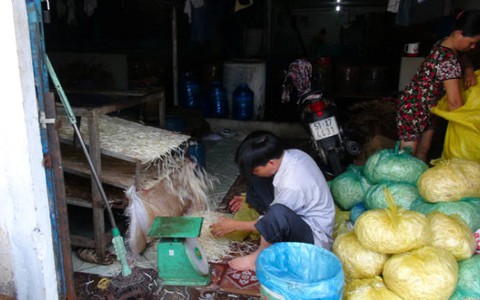 Phạt 2 cơ sở làm giá đỗ bằng hóa chất