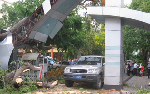 Cây phượng trốc gốc đè bẹp cổng trường