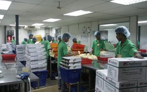 Nhiều cơ hội làm việc ở nước ngoài