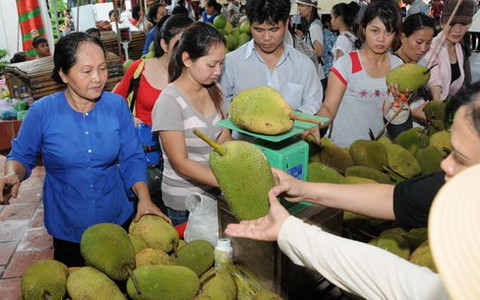 Lễ hội trái cây Nam bộ kéo dài 3 tháng