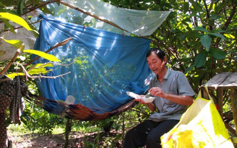 Nhà cha con ở, cha ra ở chuồng heo