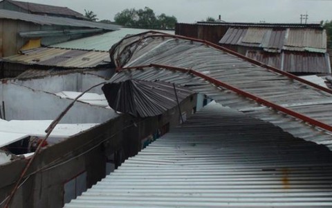 Mưa dông làm cây đổ, nhà tốc mái