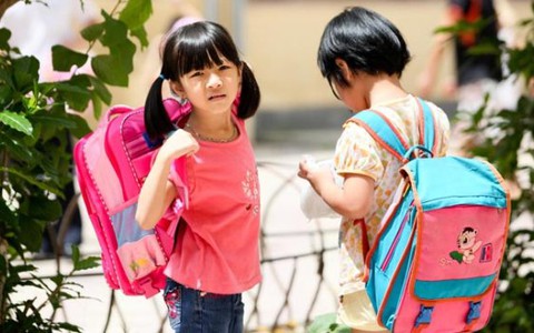 Chương trình - sách giáo khoa: Nặng kiến thức, nhẹ thực hành