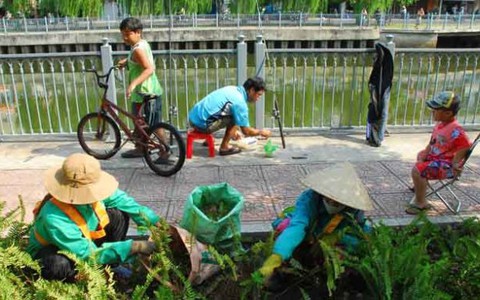 Hương nguyệt quế bên dòng kênh hồi sinh