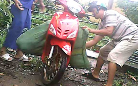 Xử phạt trại thực nghiệm tuồn heo chết ra ngoài 5 triệu đồng!