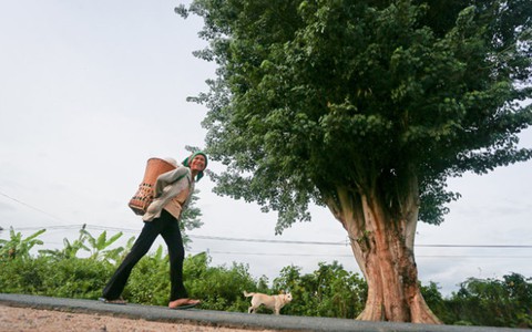 Về nhà