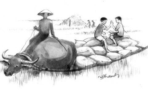 Ngồi cộ trâu