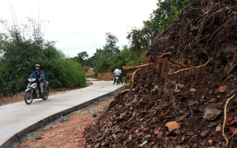 Trồng lại cây, xây lại bến