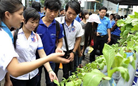 Nối tình yêu giữa biển và bờ