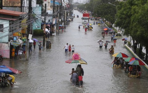 Philippines: nước tiểu chuột gây ra dịch làm sáu người chết