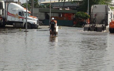 TP.HCM: triều cường tràn bờ bao, hơn 100 nhà dân ngập nước
