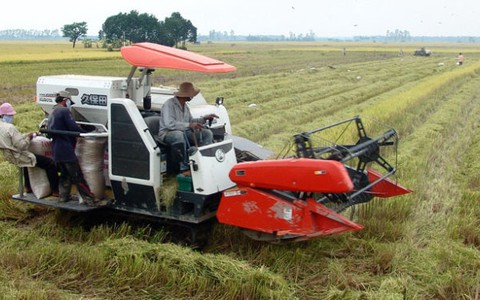 Nông dân làm cổ đông