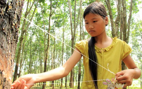Đói hay no cũng ráng tới trường