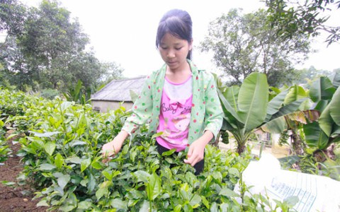 Chương trình "Vì ngày mai phát triển" lần thứ 361