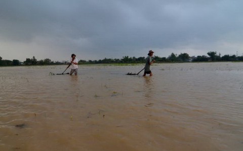 Trắng tay sau lũ