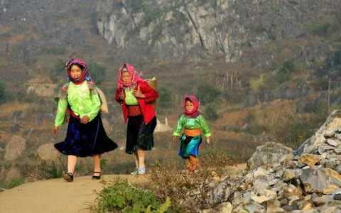Những nẻo đường chợ phiên
