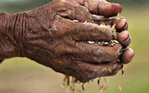 Mấy chú sắp về...