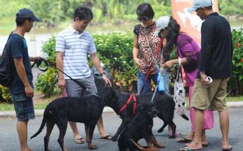 Ít bệnh nhờ biết chơi