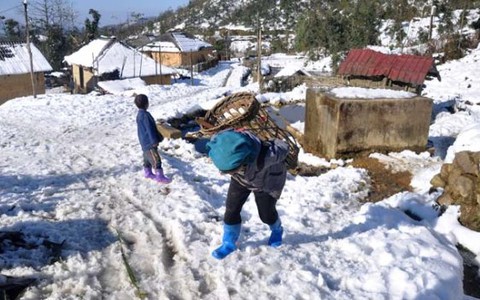 Nhìn tuyết mà khóc nghẹn