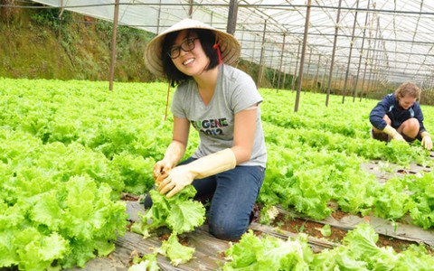 Vừa du ngoạn vừa trồng hoa