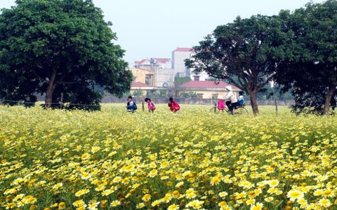 Chiều cuối năm