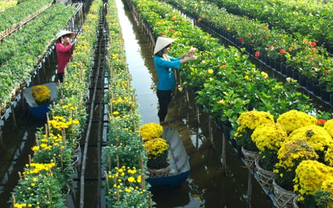 Về những bến hoa