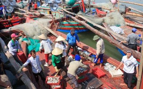 Ngư dân thu "lộc của biển" đầu xuân