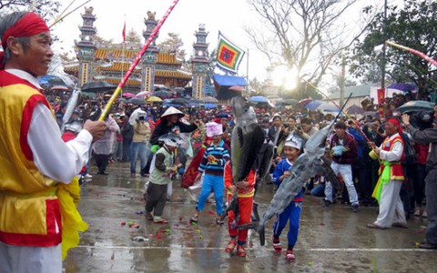 Xuất quân đánh cá vụ nam