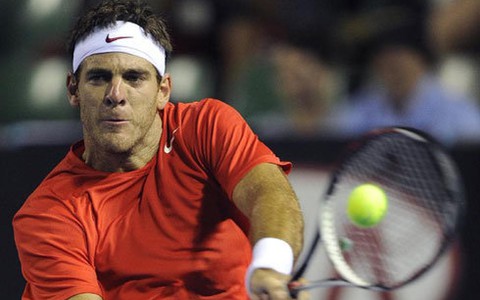 Del Potro và Murray bị loại khỏi tứ kết Giải ABN Amro