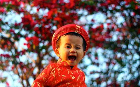 5 clip đoạt giải Khoảnh khắc mùa xuân 2014