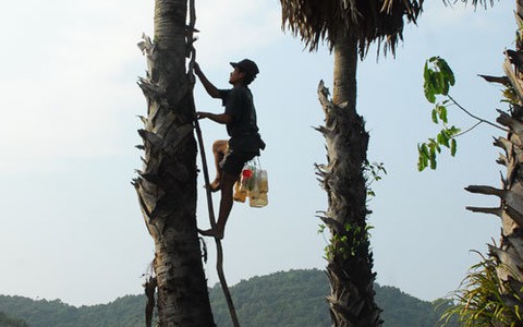 Đã khát với nước thốt nốt