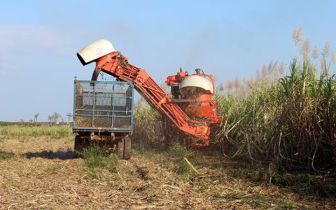 Kỳ cuối: Kiếm tiền tỉ từ nông nghiệp không khó