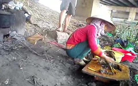 Gà vịt lén lút bán tràn lan