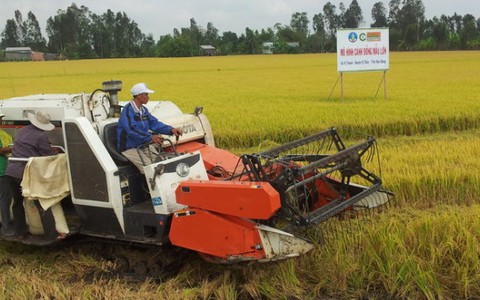 Hậu Giang tổ chức Lễ hội ngày mùa