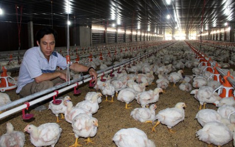 Liên kết cùng chia sẻ lợi ích